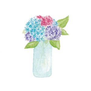 Carte postale aquarelle – Bouquet d'Hortensias