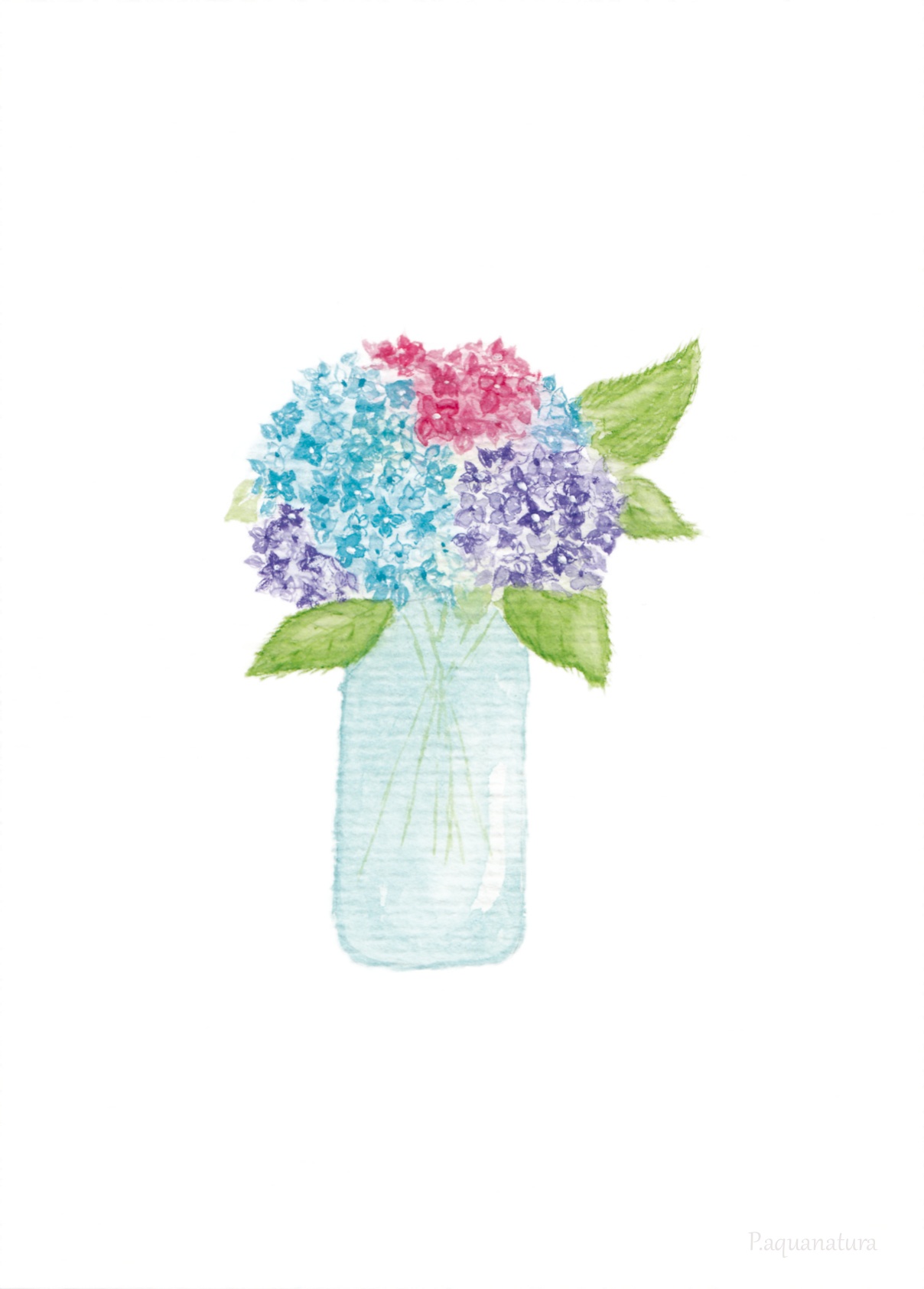Carte postale aquarelle – Bouquet d'Hortensias 1 Carte postale aquarelle – Bouquet d'Hortensias