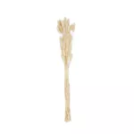 bouquet lagurus plumeau s%C3%A9ch%C3%A9e decoration fete mariage champetre ethnique jpg ded0548d
